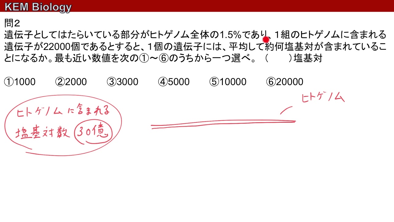 高校生物基礎「遺伝子に関する計算問題　練習問題×３」