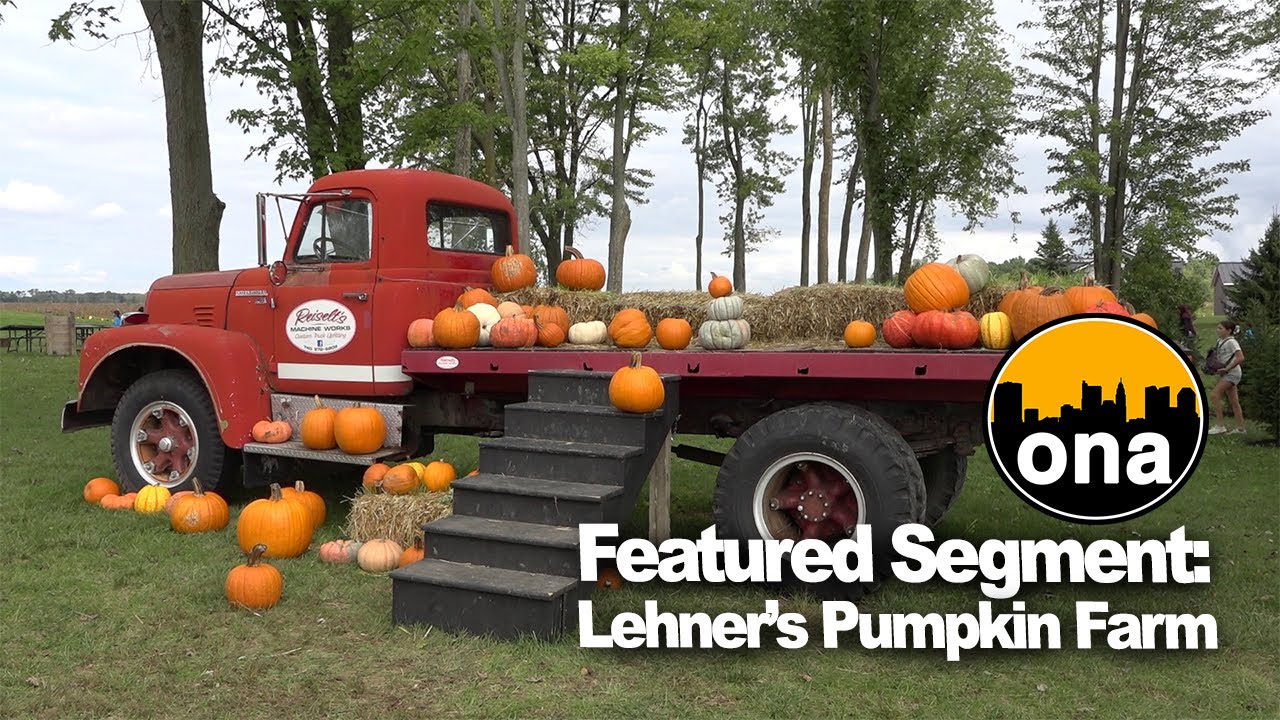 Featured Segment: Lehner's Pumpkin Farm - YouTube