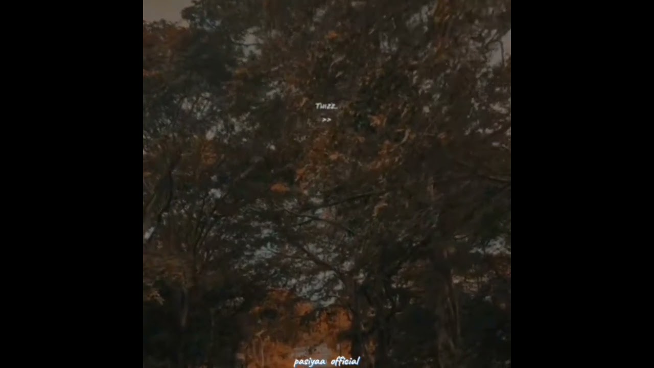 mal mitak tiyanna -// | cover song | short vediyo | PASIYAA OFFICIAL 