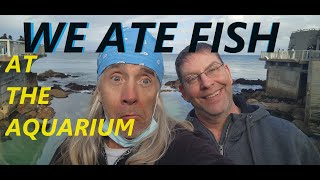 MONTEREY BAY AQUARIUM – SOME REALLY COOL FISH!!!