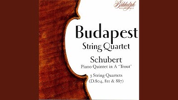 String Quartet No. 13 in A Minor, Op. 29 No. 1, D. 804 "Rosamunde": I. Allegro ma non troppo