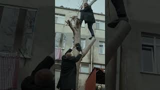 Ben Şimdi Bunu Bu Ağaçla Aşağı Indireyim De Görün Siz