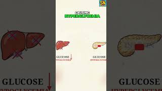 Beta & Calcium Blockers: Hypoglycemia vs Hyperglycemia Explained #shorts
