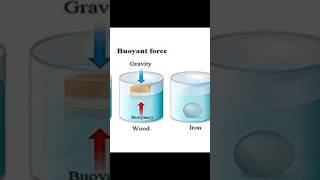 #shortvideo #shorts #youtubeshorts #youtube #physics #science #buoyantforce #subratsir