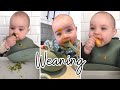 What I wish i&#39;d known... about weaning to solids!