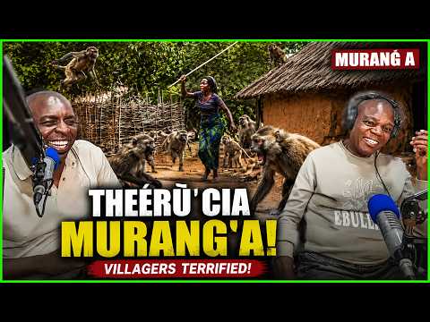 MANSAIMO NA KATTA THEERÙ CIA MURANG'A GÙTISHA ATUMIA NA KAHINDA GACIO😂😂😂