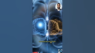 Why Do We Forget Our Dreams So Fast?