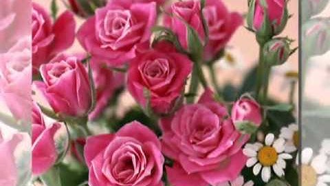 تلاوة طيبة وخاشعة من سورة الحديد (( لا تفوتك ))