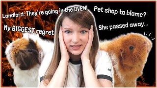 My BIGGEST Guinea Pig Care MISTAKES!