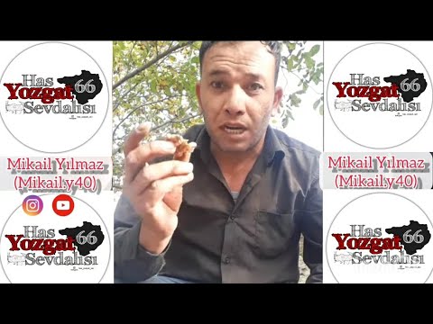 Yozgat Şivesi , Şiveli Hikayeler 😅 ( İç Anadolu Şivesi )  😅 Mikail.y40 (instagram , youtube)