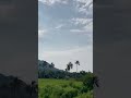 Longest Marine Drive || Hill-Sea view