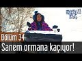 Erkenci Kuş 34. Bölüm - Sanem Ormana Kaçıyor!