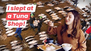 Exploring Japan’s Tuna Town: Tuna Auction and Private Sushi Chef | Miura, Kanagawa