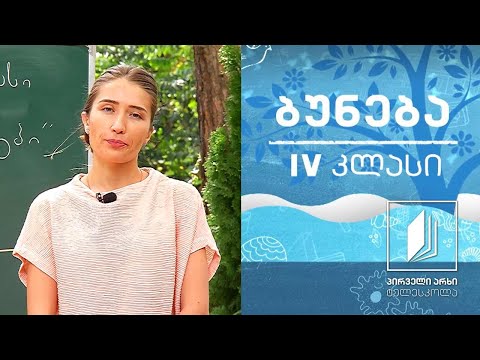ბუნება, IV კლასი - ჰორიზონტის მხარეები #ტელესკოლა