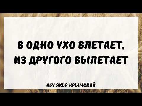 В одно ухо влетает, из другого вылетает || Абу Яхья Крымский