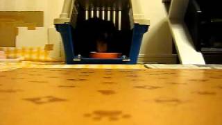 ベルのお留守番-20110221-02.AVI