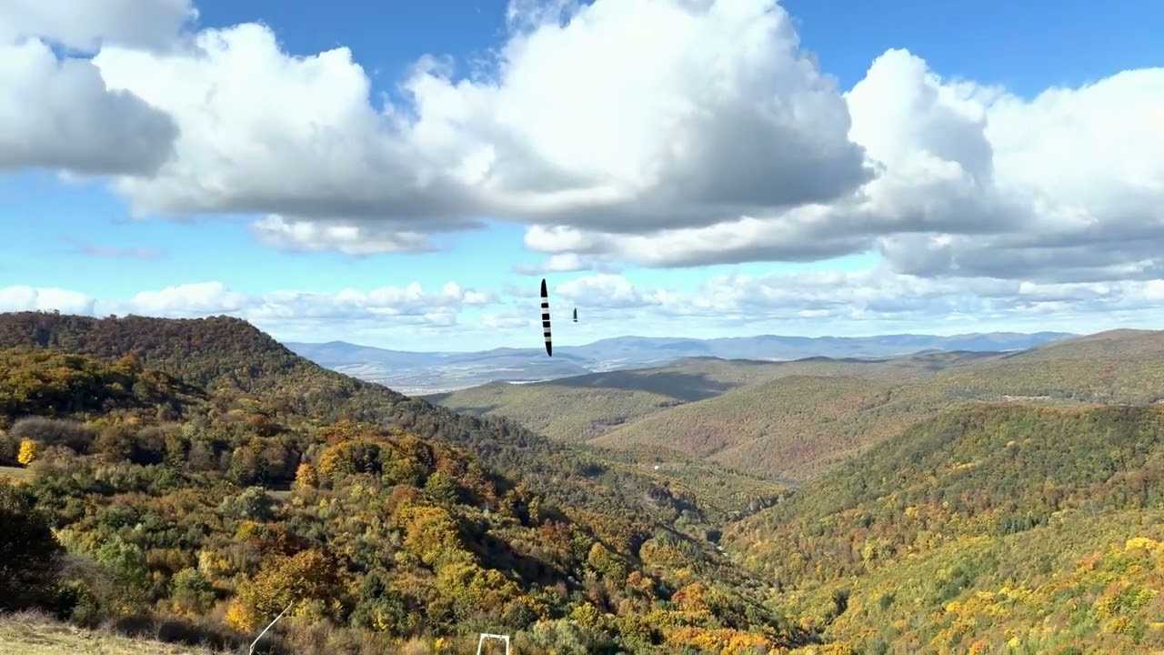 Flying fast slope soaring model gliders in the autumn nature (HDR, original sound)