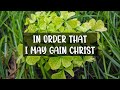 Philippians 3:1-11 / Scripture to Music / #christianmusic