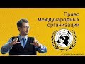 Право международных организаций (студия)