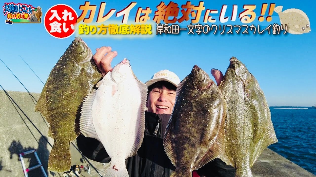 ちょい投げ入れ食い大阪湾最後の聖地‼︎岸和田一文字のクリスマスカレイ釣り⭐️塾長が釣り場で必ずやっていること　R7.12.23 大阪府岸和田市 【大輔のとことん投げ釣り塾】