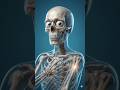 What Happens Inside Your Body After Tramadol Injection #healthtips #tramadol #medicalfacts #shorts