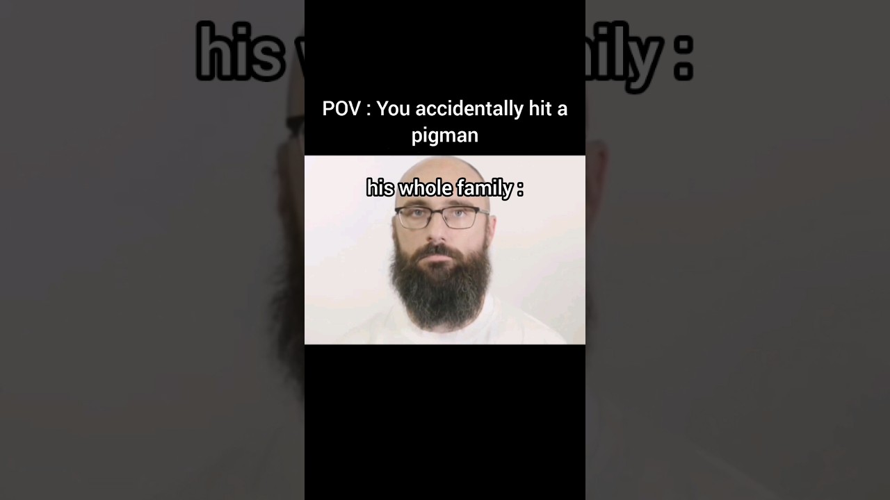 POV : You accidentally hit a pigman