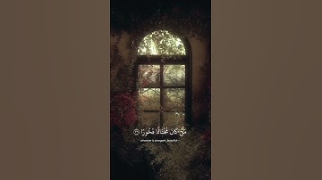 سورة النساء آيه {٣٦}#quran #المصحف #اكسبلور #راحة_نفسية #دويتو #لايك #shortvideo #islamicholiday #is