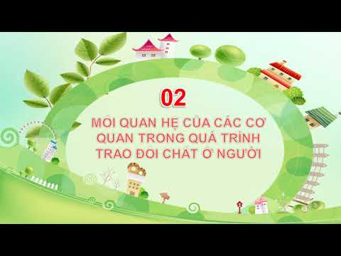Tuần 2 - Khoa học 4 - Trao đổi chất ở người ( Tiếp theo)