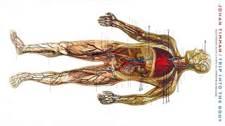 Download Lagu Johan Timman - Trip Into The Body (1978 - 1982) Full Album MP3