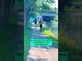Аномальная жара идёт в Беларусь — будет до +40 / Новости Беларуси сегодня