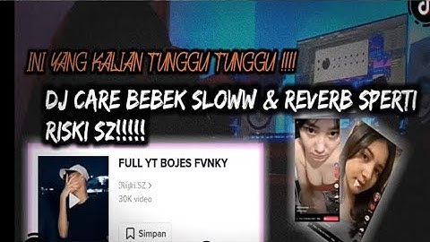INI YANG KALIAN TUNGGU2 DJ CARE BEBEK VIRAL TIK TOK SOUND RISKI SZ!!!! SLOW & REVERB .mp3