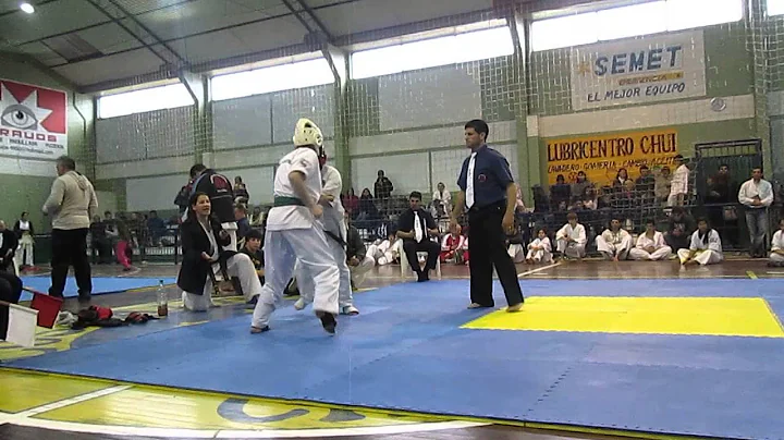Campeonato Shinkyokushin del Chuy 2013 - Uruguay /...