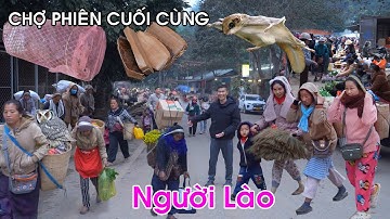 Dân Lào ồ ạt chạy qua biên giới bán đủ thứ kỳ lạ - Chợ phiên Na Mèo ngày giáp Tết | LAM SƠN TV