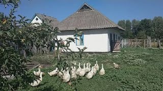 Україньке село на Черкащині  - Музика  &quot;Моє село&quot;   (група Калина)