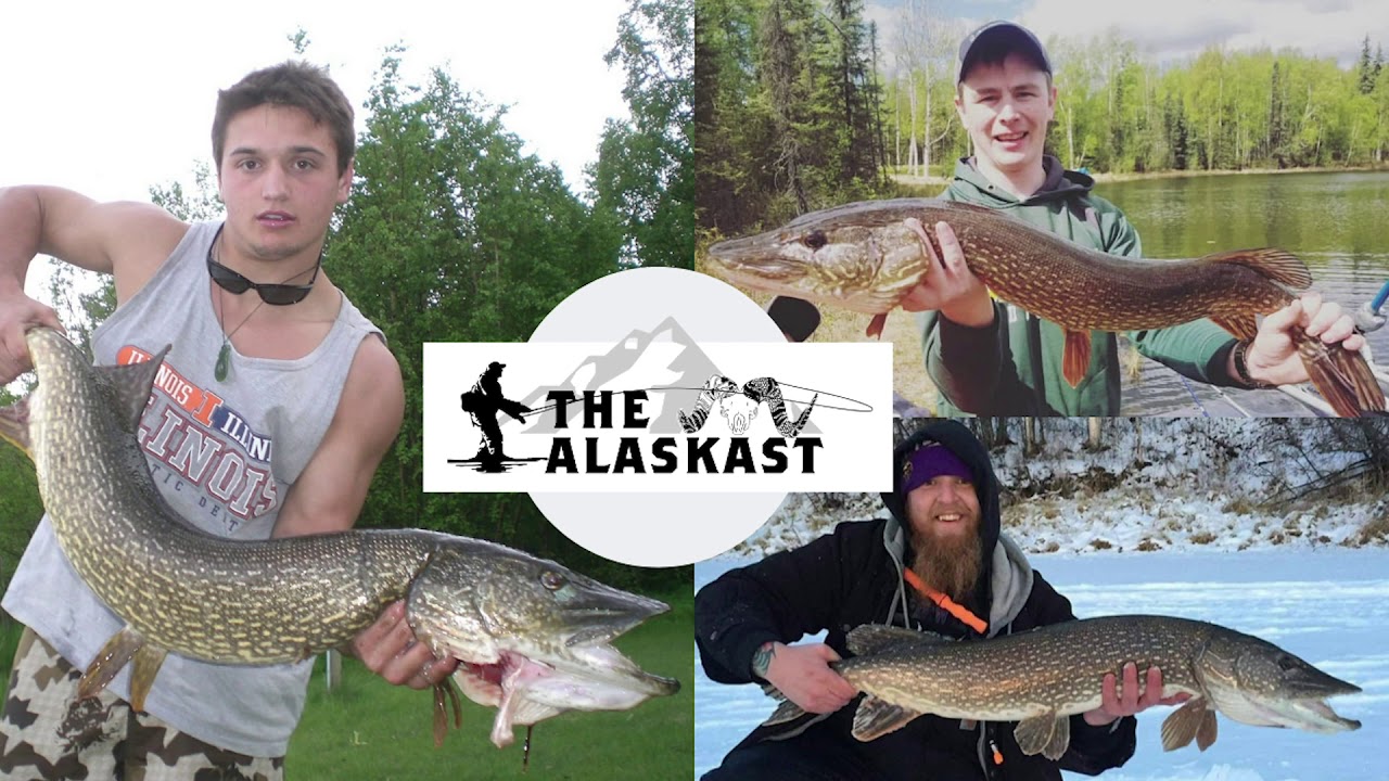 The Alaskast Episode 5 How to Pike fish Alaska With Gavin Gaffney