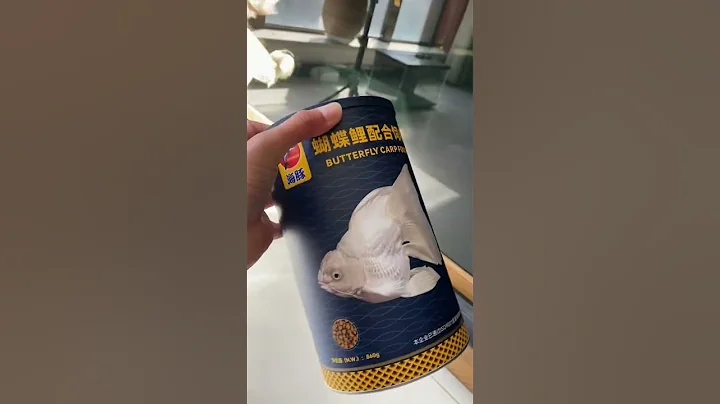 Thức ăn cao cấp cho cá chép sư tử phát triển toàn diện -Food for Taiwan butterfly carp #cachepsutu