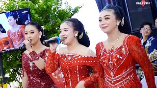 Download Lagu SRAGENAN COKEK | SETYO TUHU NINGGAL KATRESNAN LALI JANJINE - CAMPURSARI ASFM COKEK MANIA SRAGENAN MP3 Download Lagu SRAGENAN COKEK | SETYO TUHU NINGGAL KATRESNAN LALI JANJINE - CAMPURSARI ASFM COKEK MANIA SRAGENAN MP3