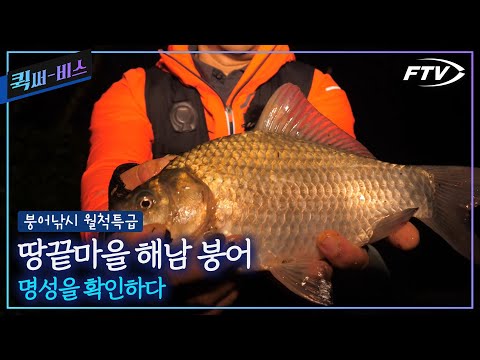 [Full/퀵써-비스]남쪽 끝, 해남에서의 붕어낚시. 과연 명성대로 대물을 만날 수 있을까?[붕어낚시 월척특급/864회]
