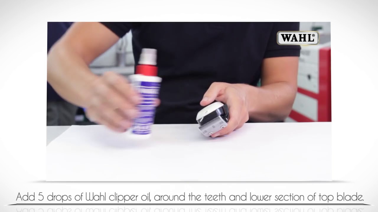How to Oil your Wahl Clipper Blade - YouTube