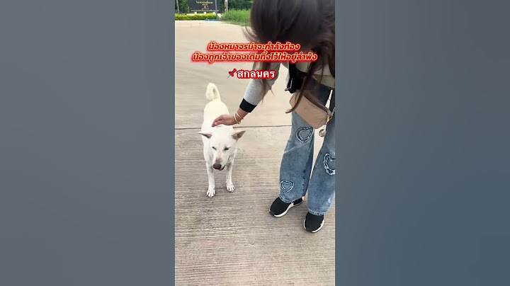หมาจรน้องถูกทอดทิ้งให้อยู่ลำพังหลังเจ้าของเดิมย้ายแต่ไม่เอาน้องไปด้วย‼️ #ใจหมา #หมาจรก็มีหัวใจ