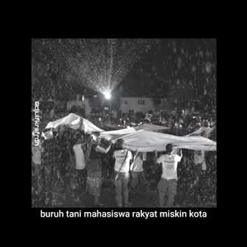 Hukum rimba/wa story😎