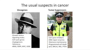 Cancer Bioinformatics (2023): Pt2 Crime Mystery
