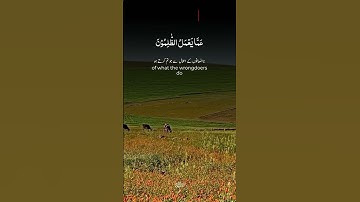 تلاوة عذبة بصوت يريح القلب والروح