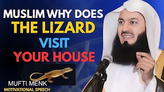 The Spiritual Meaning of the Lizard in Your House | ISLAM
