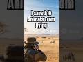 Amazing Animal Rescue: I Used Superpowers to Save 10 Lives! 🦸‍♂️