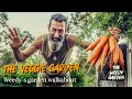 The veggie garden harvesting a bucketload of organic goodness in five minutes