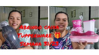 ABRINDO CAIXA TUPPERWARE ? SEMANA 31/23?