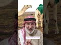 رؤية الجمل ومافيها من معاني مهمة في المنام رؤية الجمل ومافيها من معاني مهمة في المنام