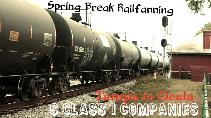 Fabulous Fanning on Spring Break!
