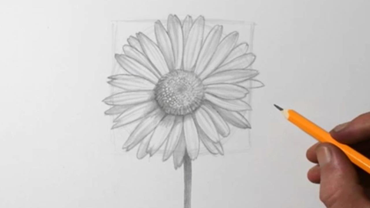 How to draw a flower easily - YouTube